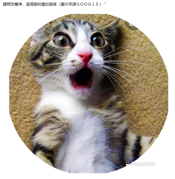 檔案:尷尬組 問卷圖例3.png